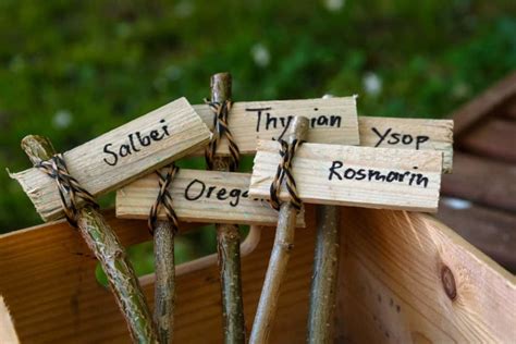 Diy Garden Plant Label Marker Ideas