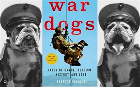 'War Dogs: Tales Of Canine Heroism, History And Love' An In Depth Look ...