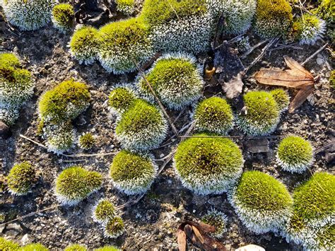 Fast Future official added a new photo. - Fast Future official