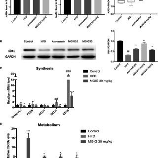 Magnesium Isoglycyrrhizinate Mgig Treatment Improved Hepatic