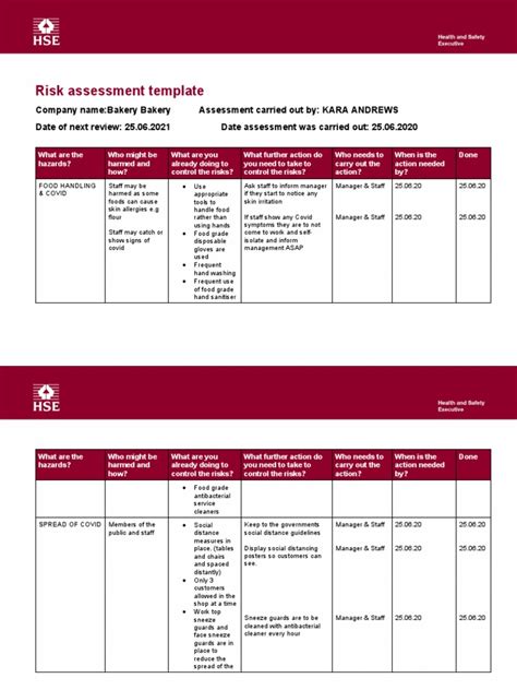 Risk Assessment Template 2019 | PDF | Medical Specialties | Clinical ...