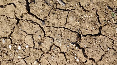 water soil stock video footage