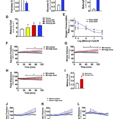 Acute Effects Of Malonyl Coenzyme A CoA Decarboxylase Inhibition On