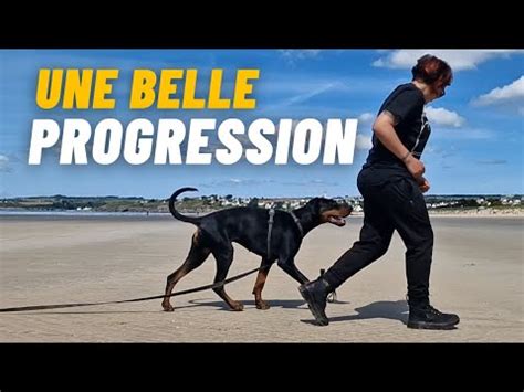 Nouveau projet d activité sportive avec ma dobermann 1 an et 2 mois