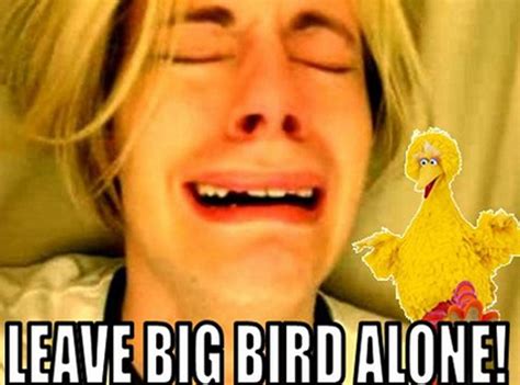 Photo 222038 From Big Bird Vs Mitt Romney Best Of The Memes E News