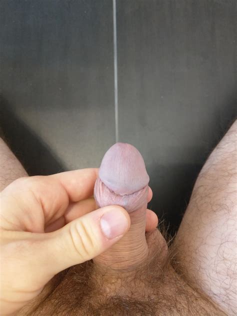 Just A Flaccid Cock Nude Pics XHamster