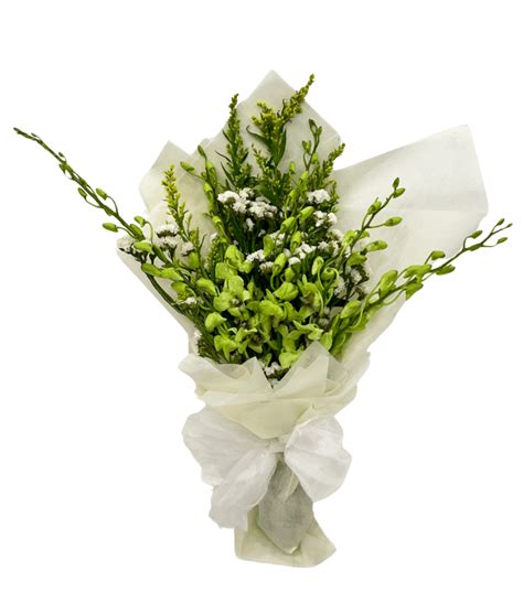 Green Orchids Bouquet - Pretty Petals