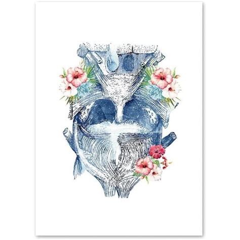 Posters Impressions Sur Toile Fleur Bleue Organes Humains Anatomie