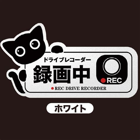 ドラレコ 車ステッカー 反射シール 録画中 あおり運転対策 ドライブレコーダー Rec 猫 かわいい おしゃれ Shou 05アクセル