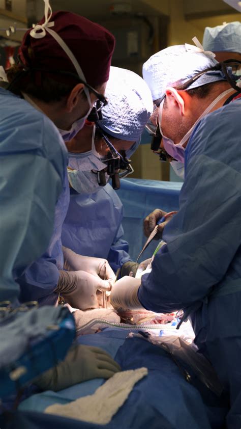 US surgeons perform first pig-to-human kidney transplant