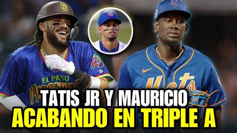 Ellos Son Los Mejores Bateadores En Triple A Fernando Tatis Jr Ronny