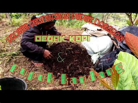 Proses Ngolah Dedak Kopi Dan Pupuk Kandang Buat Pupuk Dasar Pada