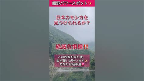 もし逃したら2度とないです！24時間後から良いことが次々と起きます！玉置神社御手洗池※龍神様の棲家！最強パワースポット（奈良県） Youtube