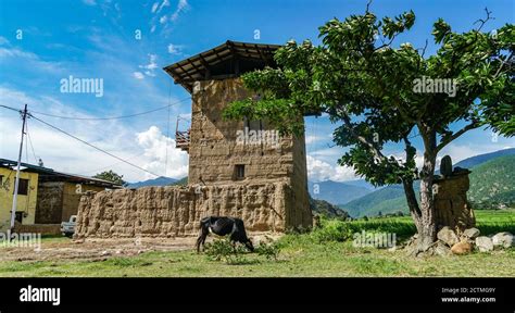 Traditional Bhutanese Farmhouse In Punakha Bhutan Stock Photo Alamy