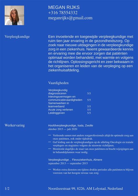 Professionele CV Templates Gratis Maak Een Perfect Resume CVster Nl