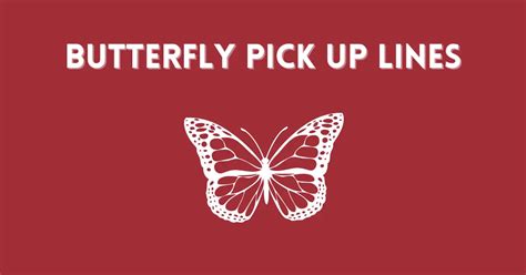 Butterfly Pick Up Lines That Are Smooth Clean Cute And Cheesy