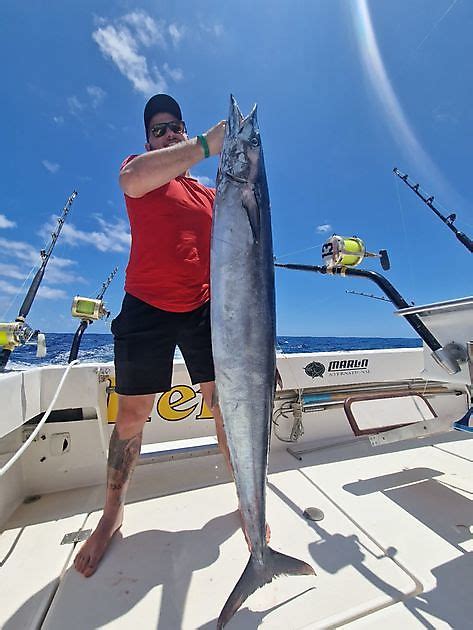 Cavalier Released Their Th Blue Marlin Cavalier Blue Marlin Sport