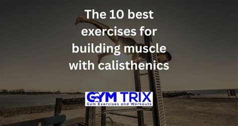 The 10 Best Exercises For Building Muscle With Calisthenics Gym Trix