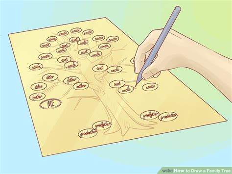 Draw Your Family Tree Tradução - How to Draw a Family Tree: 10 Steps (with Pictures) - wikiHow
