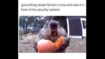 Farmer Gets Destroyed By Furry XVIDEOS