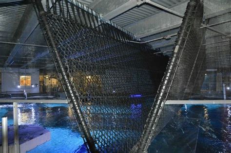 Shark Bridge Opens at Newport Aquarium - Travel Inspired Living