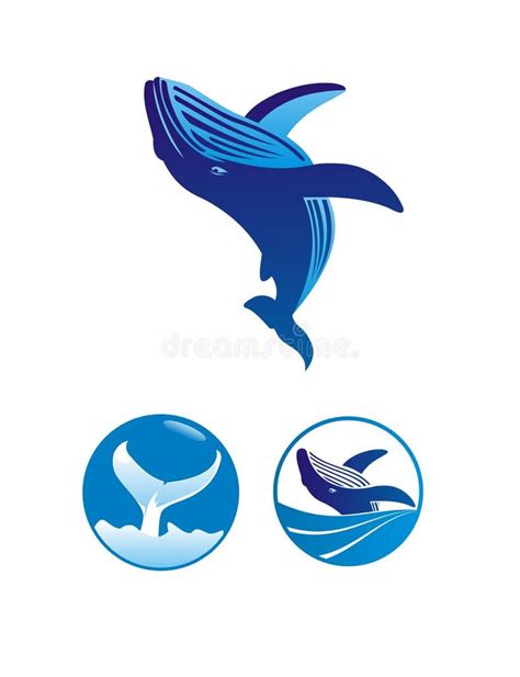 Ballena Ilustraciones Stock Vectores Y Clipart