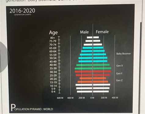 [Solved] United States Age Structure This diagram depicts a population ...