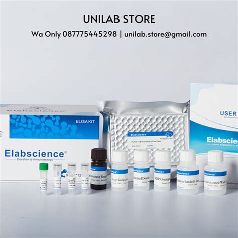 Jual Human Mmp 1matrix Metalloproteinase 1 Elisa Kit E El H6073 Kab