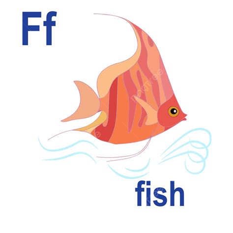 Wonderful Fantastic Fish Alphabet Colorful Blue Rainbow Fish Png And