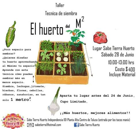 Proyecto Del Huerto Escolar Artofit