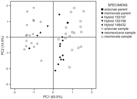 Pattern Of Morphological Variation Expressed By The Distribution Of Download Scientific Diagram