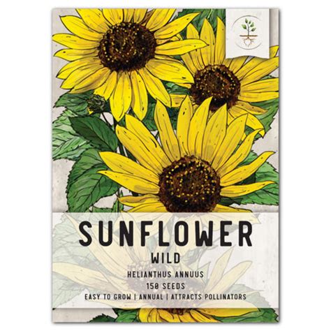 Wild Sunflower Seeds For Planting (Helianthus annuus) – Seed Needs LLC