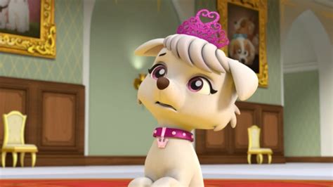 Image Sweetie Whining  Paw Patrol Wiki Fandom Powered By Wikia