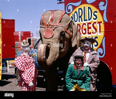 Elephant Clowns Hi Res Stock Photography And Images Alamy