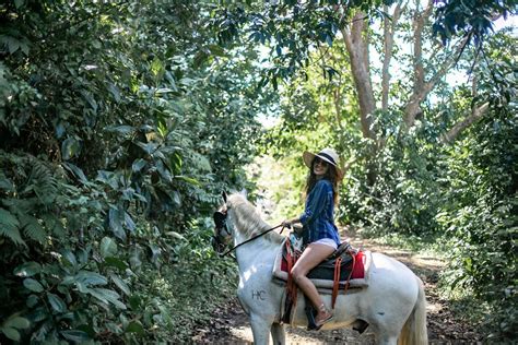 Horseback Riding in Puerto Rico | Lush to Blush travel blog