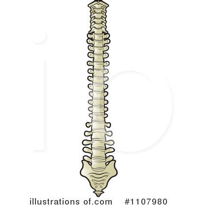 Spine Clipart #1107980 - Illustration by Lal Perera