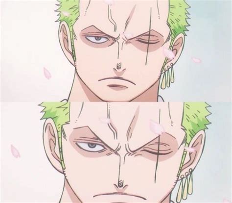 Pin By Yume Haru On Roronoa Zoro Zoro Roronoa Zoro Anime