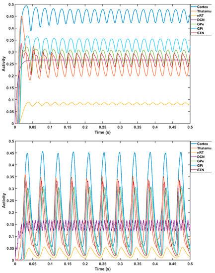 Brain Sciences Free Full Text Portable Neuroimaging Guided