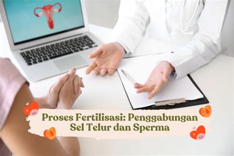 Bagaimana Proses Pengambilan Sel Telur Untuk Bayi Tabung