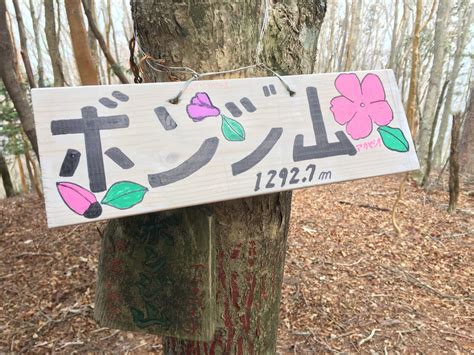 林道は油断禁物‼︎ Hisaさんの蕎麦粒山・三合山・高塚山の活動データ Yamap ヤマップ