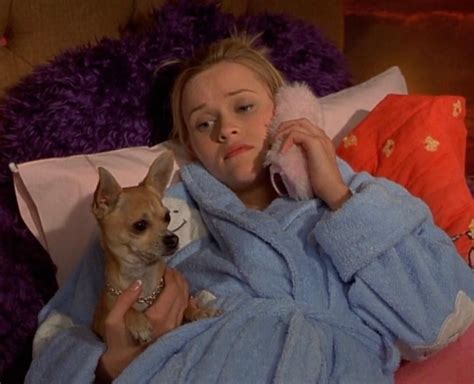An Elle Woods Mood Board In Blonde Movie Legally Blonde Elle Woods