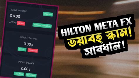 Hilton Meta FX Scam Alert Hilton Meta FX Scam Update Bangladesh