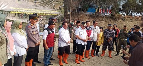 Bajul Mati Beach Festival Bupati Malang Tanam Mangrove Dan Lepas