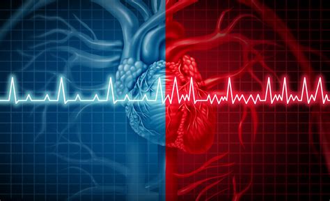 Types of Heart Disease - Pulse Cardiology