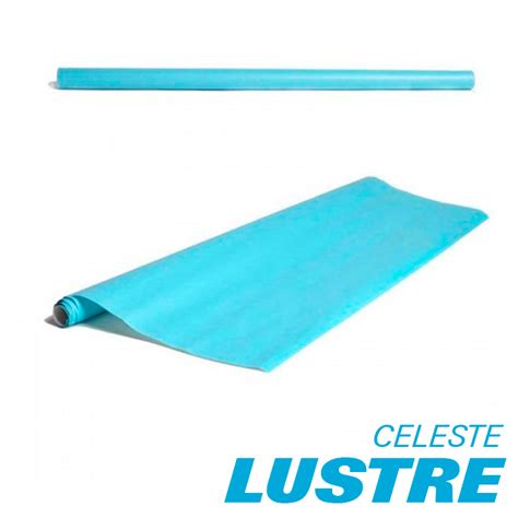 Papel Lustre Celeste Por 10 Pliegos Offi