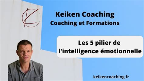 Les Piliers De L Intelligence Emotionnelle Selon Daniel Goleman Youtube