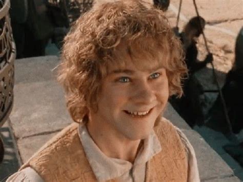 Merry Brandybuck Lord Of The Rings The Hobbit Lotr