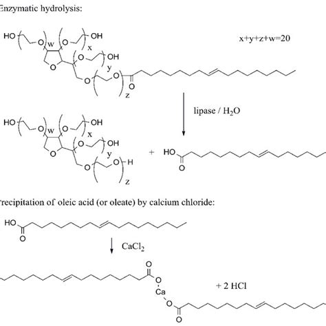 The general principle of a triglyceride assay such as a tributyrin (in ...