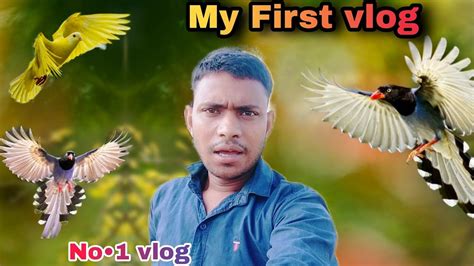 My First Vlog My First Vlog On YouTube My First Vlog Viral Afsar