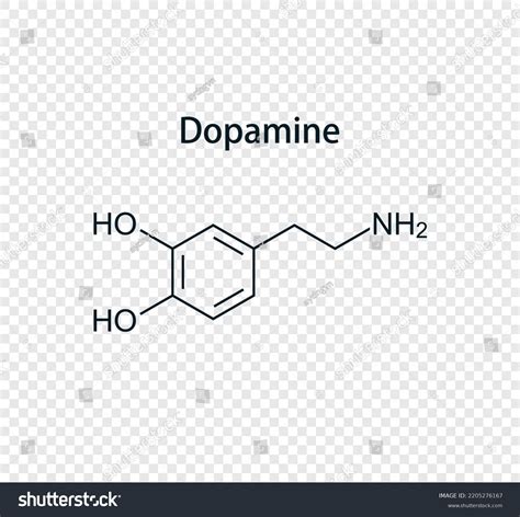 Chemical Structure Dopamine Vector Illustration Isolated Stock Vector